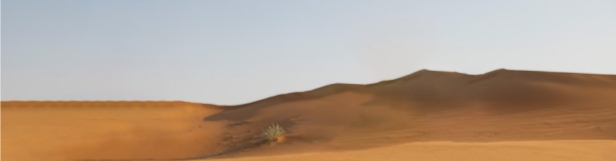 fotoAudioDesertX